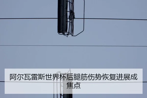 a-er-wa-lei-si-shi-jie-bei-hou-tui-jin-shang-shi-hui-fu-jin-zhan-cheng-jiao-dian-3-901.jpg