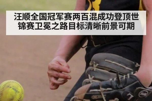 汪顺全国冠军赛两百混成功登顶世锦赛卫冕之路目标清晰前景可期